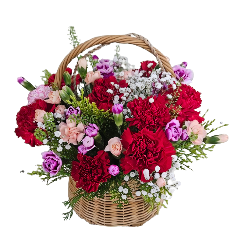 [바구니-82]혼합 카네이션 바구니